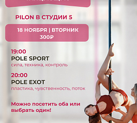Мастер-класс по Pole Sport и Pole Dance